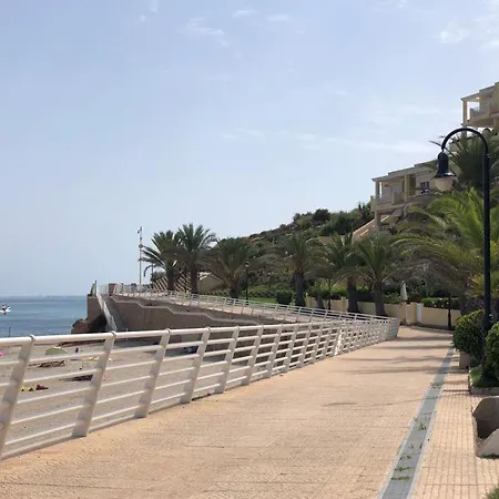 Dom Amaia * Orihuela
